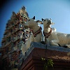 Hindu Temple