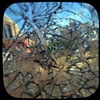 Shattered Perspective