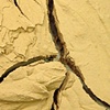 Mud Work