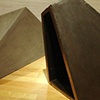 Case