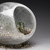 Seeds of Memory