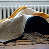 Homelpace