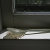 Resting