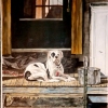 Doorkeep