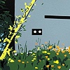 Sidewalk With Garden