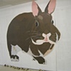 little bunny