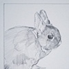 "Portrait of Patina"