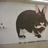little bunny