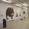 little bunny- installation view