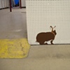 Peeking Around the Corner