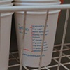 Disposable Chai Tea cups