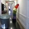 A Rainbow Every Other Day