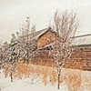 home greenhouse in the snow