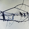 the clothesline