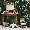 pine hearth