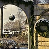 center circle in the snow