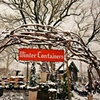 winter containers in the snow
