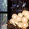 light nest