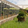styer's garden cafe exterior