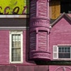 cochineal
