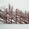 fence in the snow
