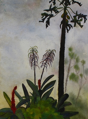 Papaya Tree