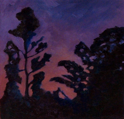 The Rainforest at Night