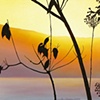Sunset #3