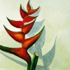 The Gardener's Flower