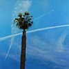 Runyon Canyon Sentinel