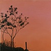 Fading to Pink