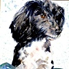 Sadie