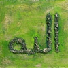 Calligraphy 6