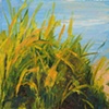 By The Stream 