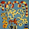 Fractal designs