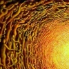 The Vortex 2(Working title)