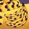 Polka Fruit