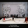 The Good Body