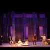 CHERRY ORCHARD