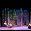 CHERRY ORCHARD