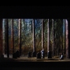 SPRING AWAKENING 4