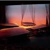 The Diviners