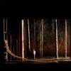 SPRING AWAKENING 2