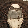 Damage (detail)