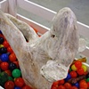 Ball Pit