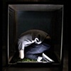 a comfortable place