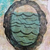 No Longer Disturbing: Beneath the Paper Thin Surface