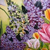 Barb Conner Antel