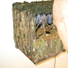 The Diorama Show