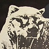 Elke Claus - Tiger